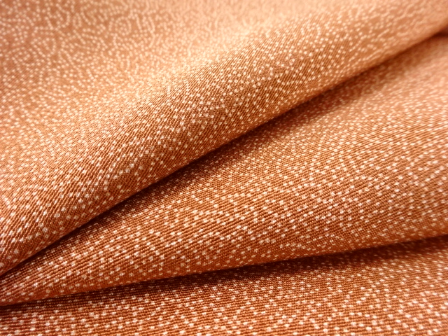  無病息災模様江戸小紋着物